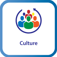 six eight culture